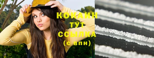 молекула духа Нягань