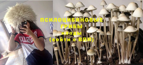 MDMA Premium VHQ Арсеньев
