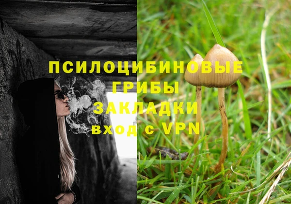 молекула духа Нягань