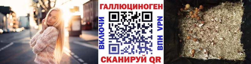 закладки  Поронайск  kraken ссылки  Псилоцибиновые грибы прущие грибы 